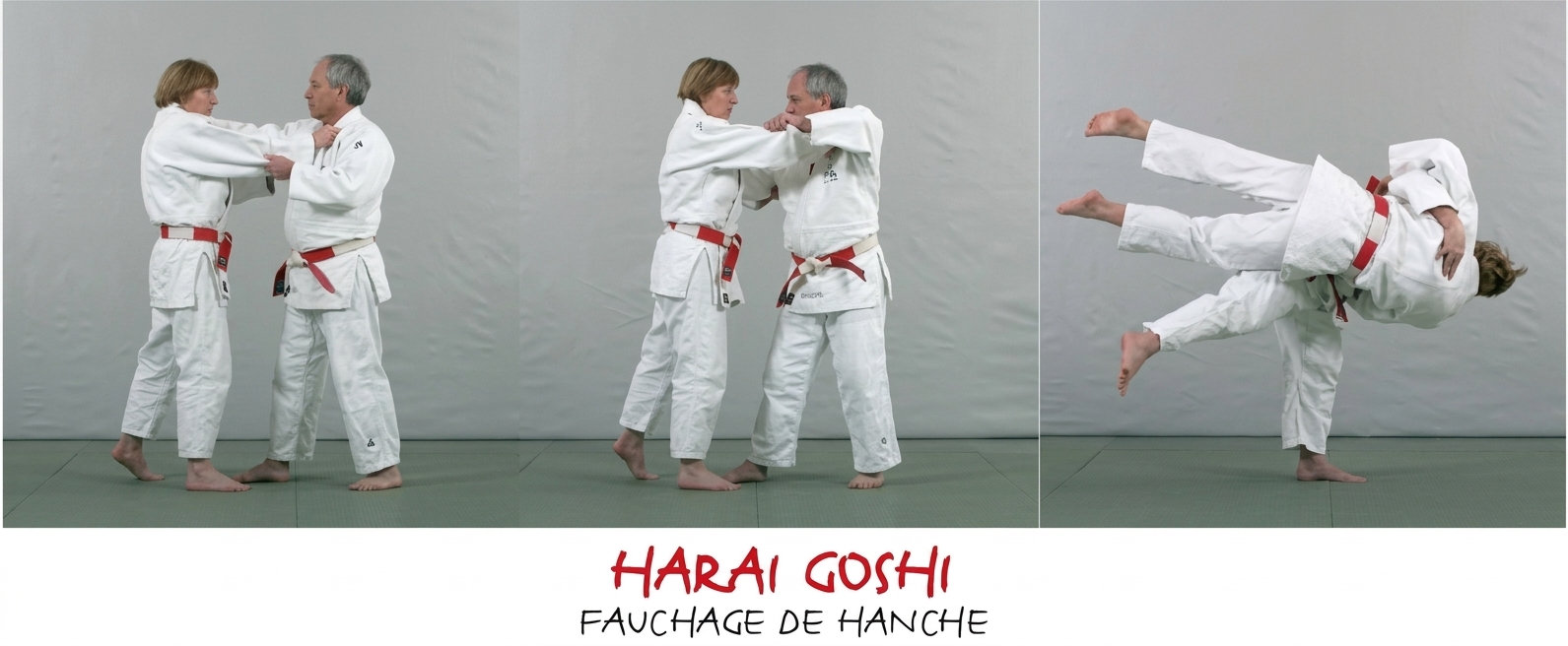 Harai-goshi